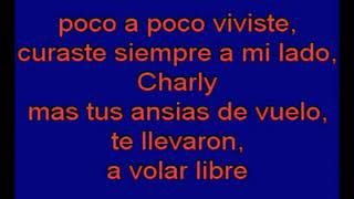 se llamaba charly KARAOKE {tono} Alver audiccion