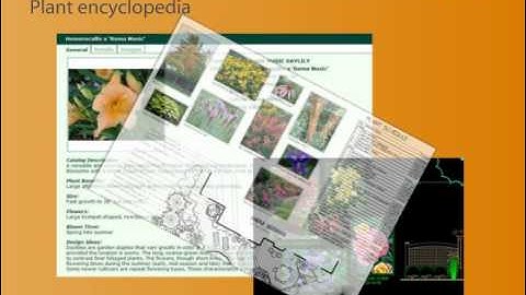 Introduction to DynaSCAPE Design