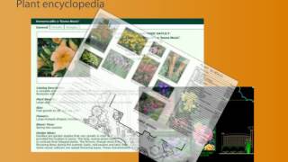 Introduction to DynaSCAPE Design