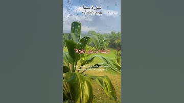 Surah 34 Saba 🕋 سورة ٣٤ سبإ