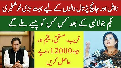 Ehsaas Emergency Cash Program | Janch Partal New Updates | Ehsaas Program | Technical Asad