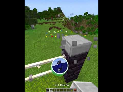 Minecraft Working Electric Fence ⚡