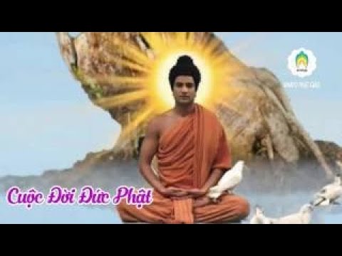 Bạn Có Duyên Với Đức Phật Khi Nghe Kể Chuyện Đêm Khuya Phật Thích Ca Mâu Ni Truyện  Phật Giáo P6 - Youtube
