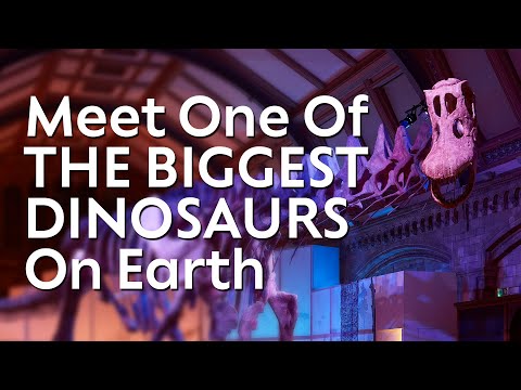 Titanosaur - Life As The Biggest Dinosaur