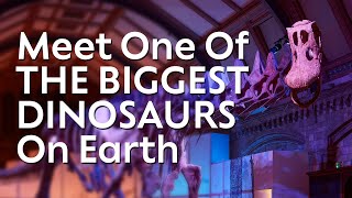 Titanosaur - Life As The Biggest Dinosaur screenshot 1