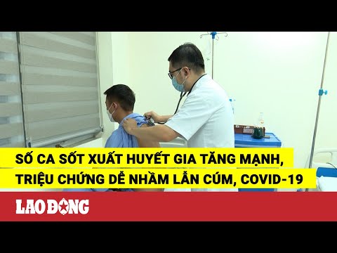 Video Số ca sốt xuất huyết gia tăng mạnh, triệu chứng dễ... - YouTube
