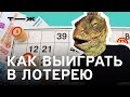 Как выиграть в лотерею