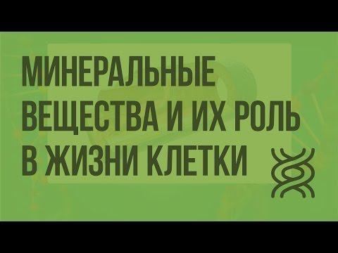 Минеральные вещества и их роль в жизнедеятельности клетки. Видеоурок по биологии 10 класс