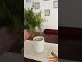 Una decoración sencilla y neutral sirve para todo el año