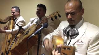 Video voorbeeld van "Mariachi Los Camperos (LIVE @ LA FONDA) - Los Arrieros/Las Olas featuring Tony Zuniga"