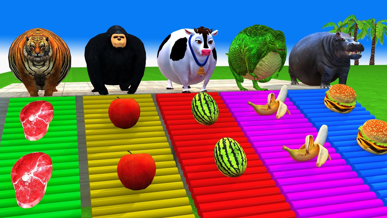 Long Slide Game With Cow Elephant Gorilla Hippopotamus Tiger 3d Animal Game Funny 3d Animals