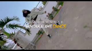 Harmonize _Sandakalawe (dance) #harmonize #sandakalawe