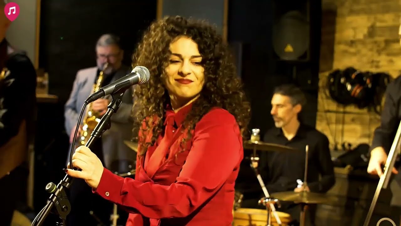 When in Zadar - Live Showreel 2026