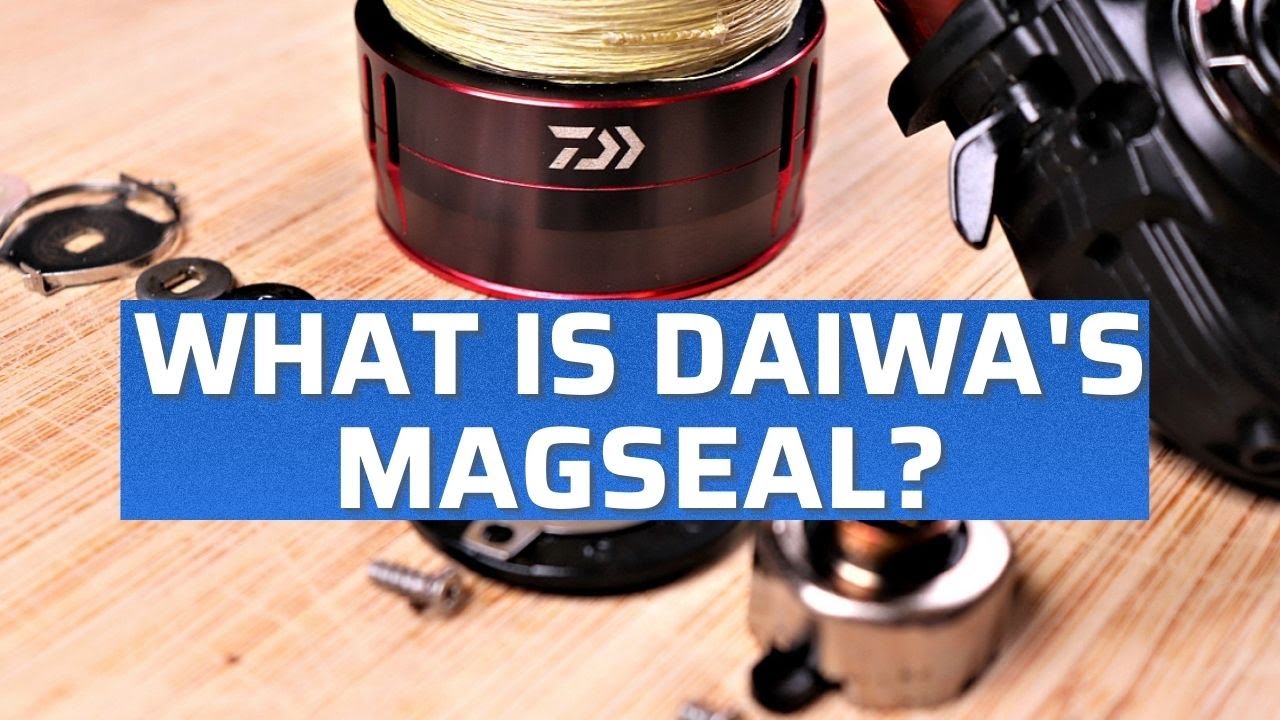 What Is Daiwa's Magseal? (And Is It Worth It???) 