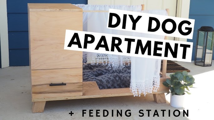 How to Create a Dog Feeding Station –