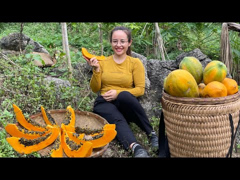 Harvest the papaya garden to sell at the market. grow flowers on the farm