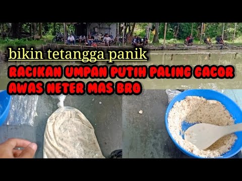 RACIKAN UMPAN PUTIH IKAN MAS PALING GACOR !! BIKIN TETANGGA IRI 🔥🔥