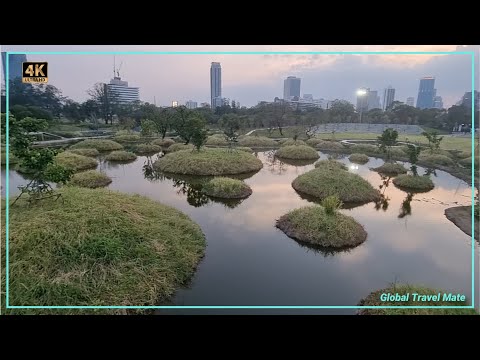 CENTRAL FOREST PARK Bangkok Open to Explore 🇹🇭 Thailand