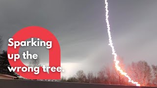 Dramatic moment a tree was set on FIRE by a lightning bolt ⚡️🌲| SWNS