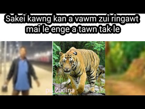 Pu Zodina Maite thiltawn Sakei a vawm Ringawt a le enge thleng ta 