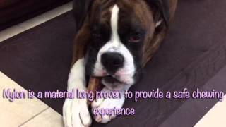 Pet Qwerks Nylon Antler dog chew toy