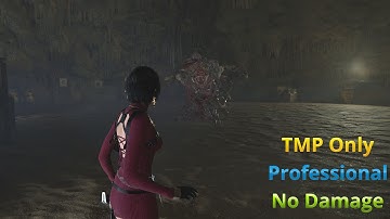 Separate Ways U3 Only TMP No Flash Grenades Professional No Damage