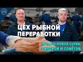 Переработка рыбы на Акваферме. Копчение рыбы. Начало серии обзоров.