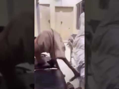 Se rir já sabe 😂😂😂🔥