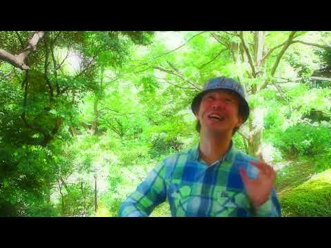 三浦徳子作詞、八神純子作曲・歌唱の『想い出のスクリーン』を歌う！#八神純子＃ニュー・ミュージック＃70年代の大ヒット＃昭和歌謡曲＃三浦徳子＃昭和のシンガーソングライター
