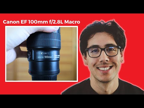 Canon EF 100mm f/2.8L IS Macro Review - The Macro King?