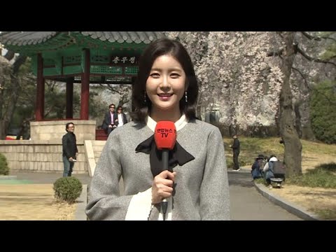 [날씨] 꽃샘추위 풀려 기온 '쑥쑥'…남부 공기 탁해 / 연합뉴스TV (YonhapnewsTV)