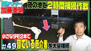 小さなタモ２本のみ！外来種の巣窟と化した池で夜の捕獲作戦！生物ハンター加藤英明【爬虫類MAX100種飼育】