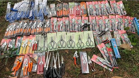 CƯA CMART 50K| TỔNG HỢP CÁC MẪU KÉO CẮT CÀNH 0582132888