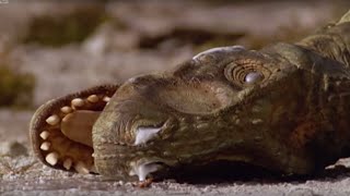 The Dinosaur's Fight for Survival | Walking with Dinosaurs in HQ | BBC Earth