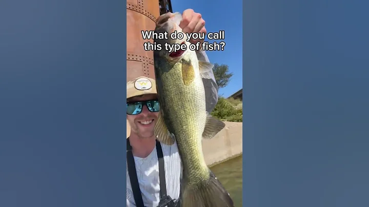 What do you call this fish?📹@Hunterdubs.fwtx