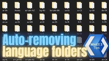 WinUI 3 | Auto-removing language folders | WinAppSDK | XAML | C# | .NET | UWP | WPF