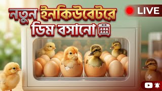 🛑 Live...ডিম টেনেস্পার শুরু করে দিলাম।
