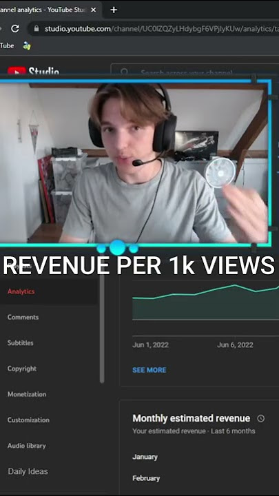 How Much MONEY A Small Youtuber MAKES From AD REVENUE