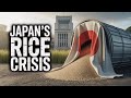 Rice Shortage in Japan? The Shocking Truth Behind Soaring Prices