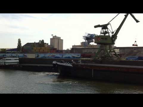 MS Reinhard Waibel