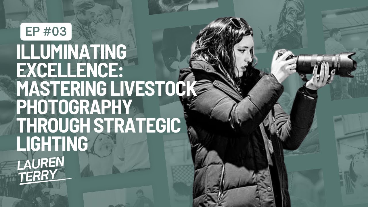 003: Illuminating Excellence: Mastering Livestock Photography Through Strategic Lighting