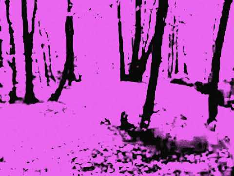 pinkwoodz - in two (Official Lyric Video)