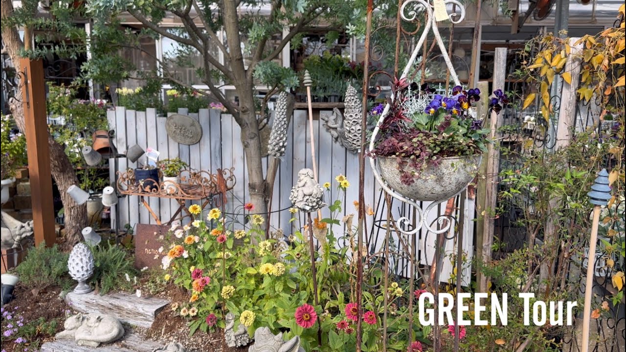 小さいお庭でもプラスαの寄せ植えでもっと素敵な年明けになる！可愛いビオラ葉牡丹シクラメンがいっぱい！ | Garden shop NONOHANA |  園芸/ガーデニング店巡り | 兵庫/加古郡