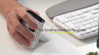 Delux MV6 Vertical Ergonomic Wireless Mouse 2.4G Bluetooth Mice OLED Screen 4000DPI Rechargeable