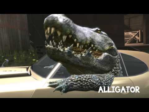 Interior Crocodile Alligator Know Your Meme