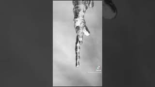 How icicles are formed #science #shorts