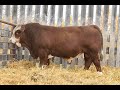 LOT 820J WOLFE FARMS 2022