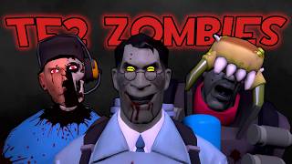 Exploring TF2's Strange Zombie Gamemodes