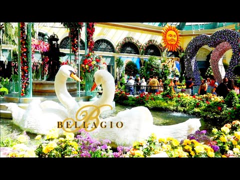 Vidéo: Le guide complet du casino Bellagio Hotel & à Las Vegas