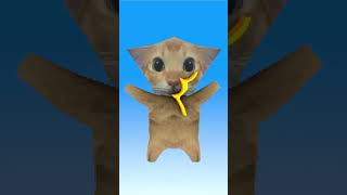 SWIPE SWIPE!!! #animation #3danimation #cat #lowpoly
